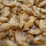 Almeja Carne Cocida Cal 500/700 (1kg)