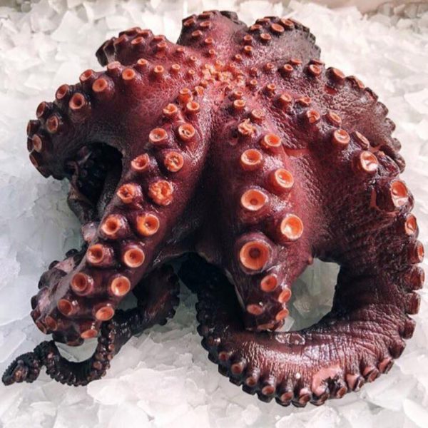 Tentáculos de Pulpo Cocido  500gr